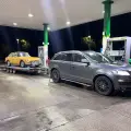 AlexM transporter profile